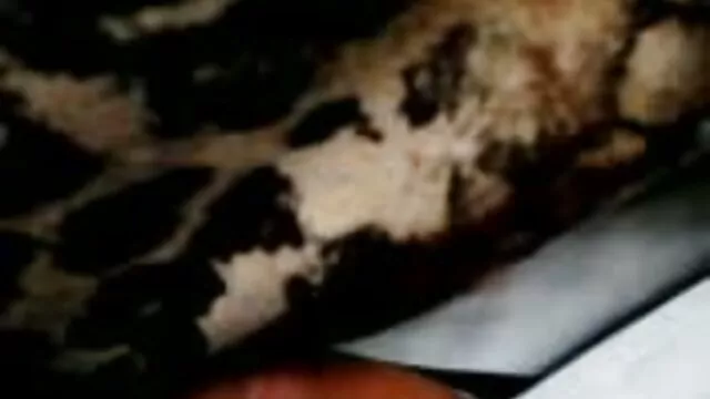 همسر فیلم و کلیپ سوپر شوهر را با زن دیگری گرفت