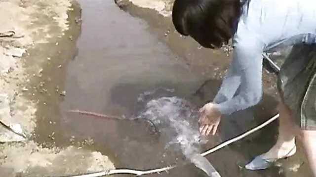 تقدیر صورت هیلی یانگ 3 کلیپ های سوپرسکسی
